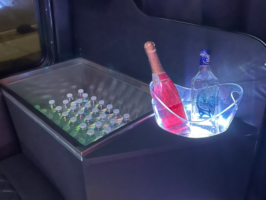 40 Passenger Custom Party Bus