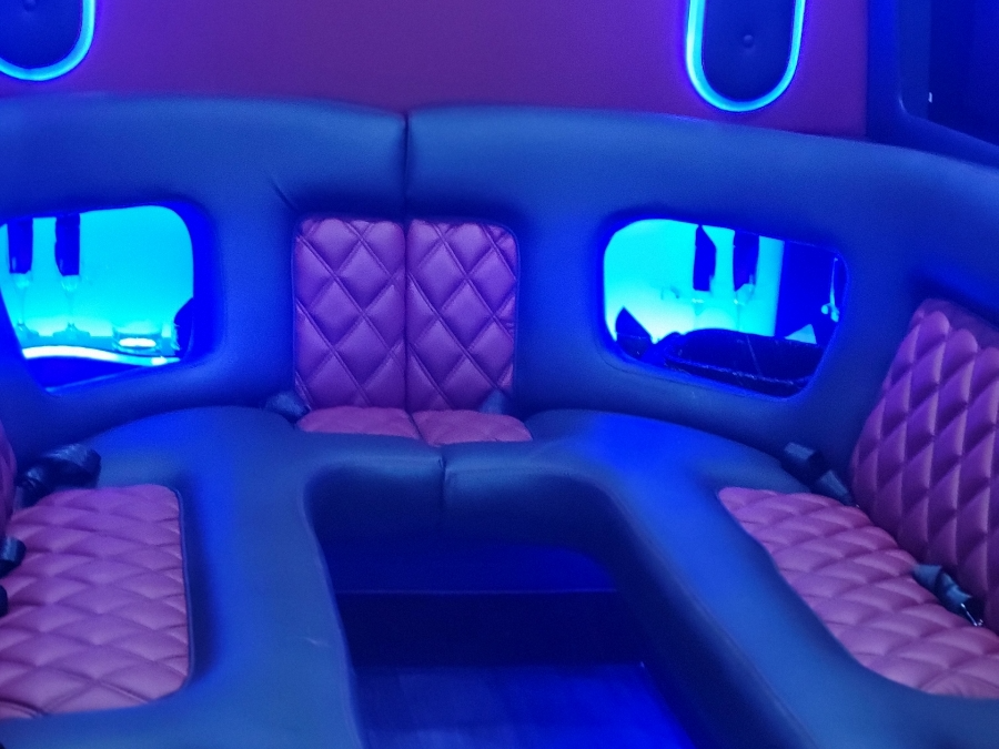 Sprinter Party Van